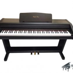Kawai PW-800