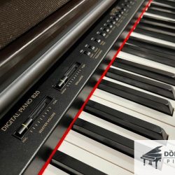 Đàn Piano Điện Kawai PW-820 2 PW820