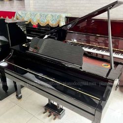 Đàn Piano Điện Roland RG-3F 1 dan-piano-dien-roland-rg3f