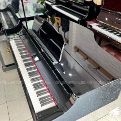 Đàn Piano Điện Roland RG-3F 3 dan-piano-roland-rg3f