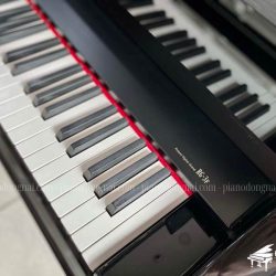 Đàn Piano Điện Roland RG-3F 4 piano-dien-roland-rg-3f