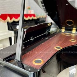Đàn Piano Điện Roland RG-3F 2 piano-roland-rg3f