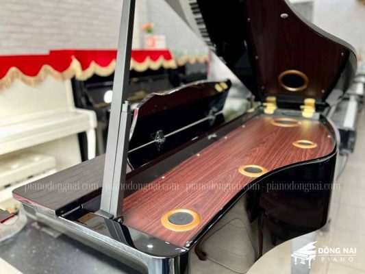Đàn Piano Điện Roland RG-3F 16 piano-roland-rg3f
