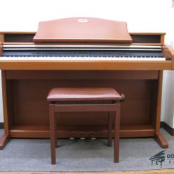 Kawai PW-1000