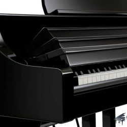 Đàn Piano Điện Roland RG-3F 8 roland-rg3f