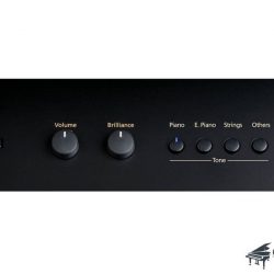 Đàn Piano Điện Roland RG-3F 10 roland-rg3f