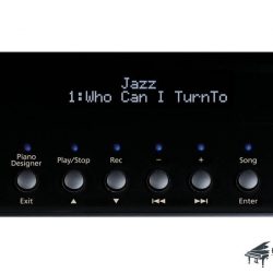 Đàn Piano Điện Roland RG-3F 9 roland-rg3f