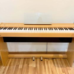 Đàn Piano Điện Roland F100 2 roland-f100
