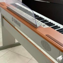 DAN-PIANO-YAMAHA-P120