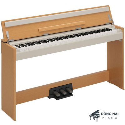 Đàn Piano Điện Yamaha YDP-S30C 14 YDP S30