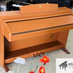 Đàn Piano Điện Yamaha CLP-230 6 Yamaha CLP 230C