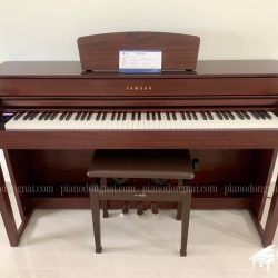 dan-piano-dien-yamaha-clp-535m