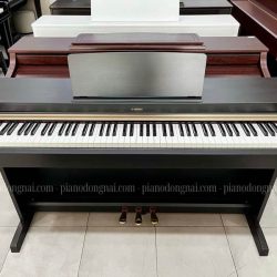 dan-piano-dien-yamaha-ydp-162