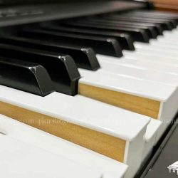 Đàn Piano Điện Yamaha CLP-F01 3 pisno-clp-f01