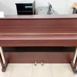 Đàn Piano Điện Yamaha DUP-5 1 yamaha-dup5