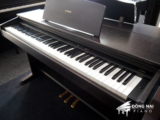 Đàn Piano Điện Yamaha YDP-101 5 yamaha ydp101