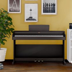Đàn Piano Điện Yamaha YDP-164 4 Yamaha YDP-164
