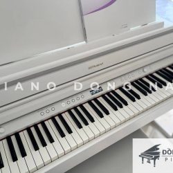 Roland HP 704 2