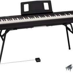 Đàn Piano Điện Roland FP-10 1 dan-piano-dien-roland-fp-10