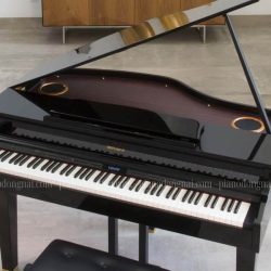 dan-piano-dien-roland-gp-607