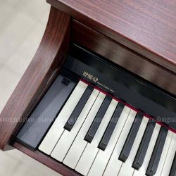 Đàn Piano Điện Roland HP-505GP 3 dan-piano-roland-hp505gp