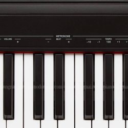 Đàn Piano Điện Roland GO-88P 5 roland-go-88p