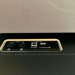 Đàn Electone Yamaha ELB01 5 DAN-ELECTONE-ELB01