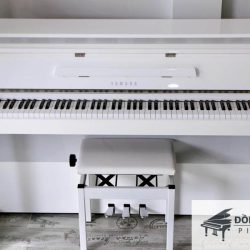 Dan Piano Hybrid Yamaha NU1 1