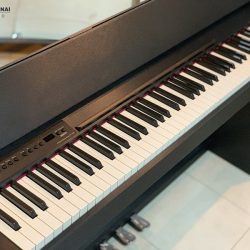 49b87a738cd0788e21c1