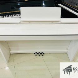 Đàn Piano Điện Casio PX-850 2 Casio PX850