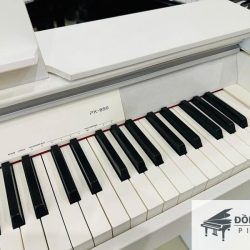 Đàn Piano Điện Casio PX-850 3 PX850
