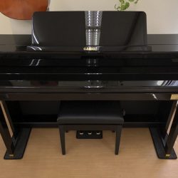 Đàn Piano Điện Casio GP-500 BP 2 Casio GP-500 BP