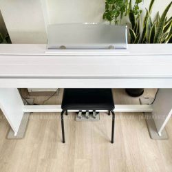 Dan Piano Dien Casio PX 770