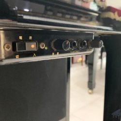 Đàn Piano Điện Yamaha DUP-10 4 dup-10-pe