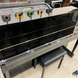 Đàn Piano Điện Yamaha DUP-10 1 yamaha-dup-10-pe