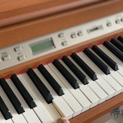 Đàn Piano Điện Kawai PW7 2 Kawai PW 7
