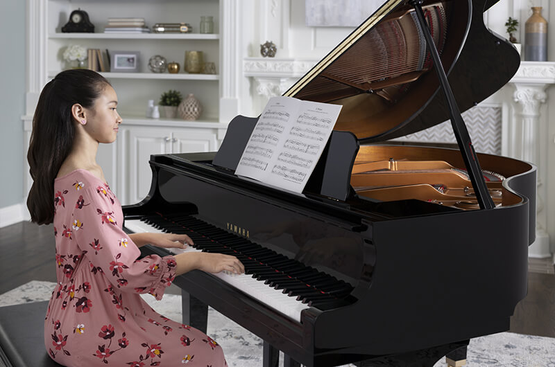 Đàn grand piano và baby grand piano. Phần 2