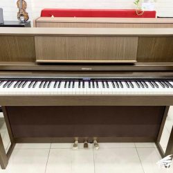 Dan-Piano-Dien-Roland-LX-7
