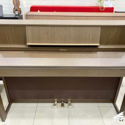 Dan-Piano-Roland-LX-7