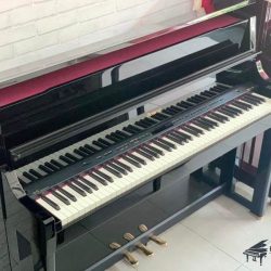 Dan-piano-roland-lx15