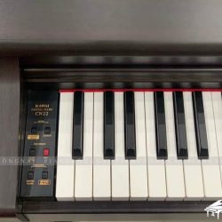 Kawai CN22R