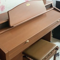 Đàn Piano Điện Kawai PW7 1 Kawai PW7