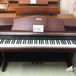Đàn Piano Điện Kawai PW-1000 M 5 Kawai PW1000