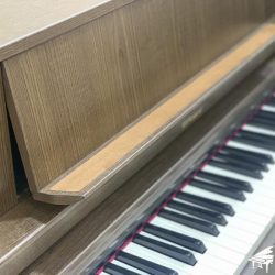Piano-Dien-Roland-LX-7