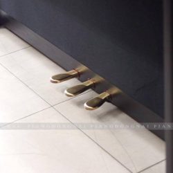 Đàn Piano Điện Roland LX-705 9 ROLAND-LX705