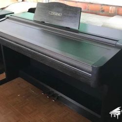 Đàn Piano Điện Casio AP-75 1 dan-piano-dien-casio-ap75