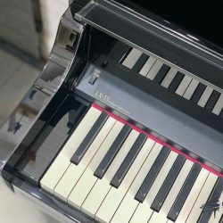 piano-dien-roland-lx15