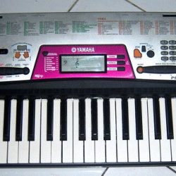 Đàn organ Yamaha PSR-172 1 Yamaha PSR-172