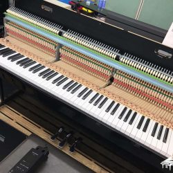 Đàn Piano Hybrid Yamaha NU1X 4 IMG 2471