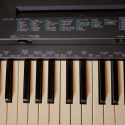 Đàn organ Yamaha PSR-100 3 PSR 100 3